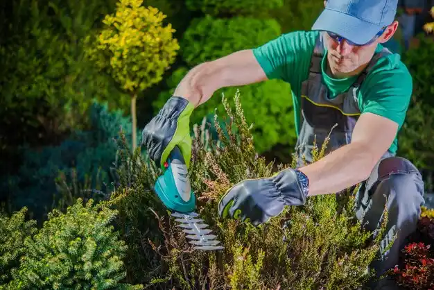 landscaping services Plattsburgh West
